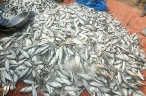 jatka