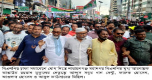 bnp