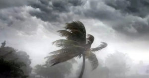 Weather