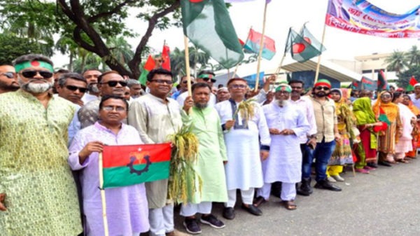 bnp