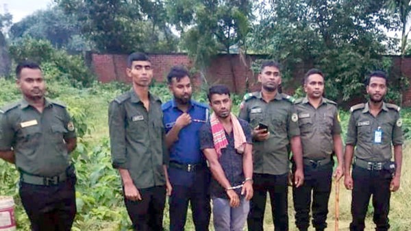 rupganj