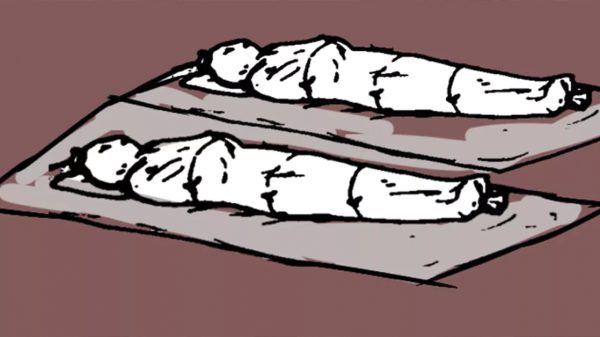 ফাইল ফটো